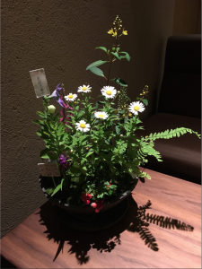 スクリーンショット 2016-07-30 21.29.11